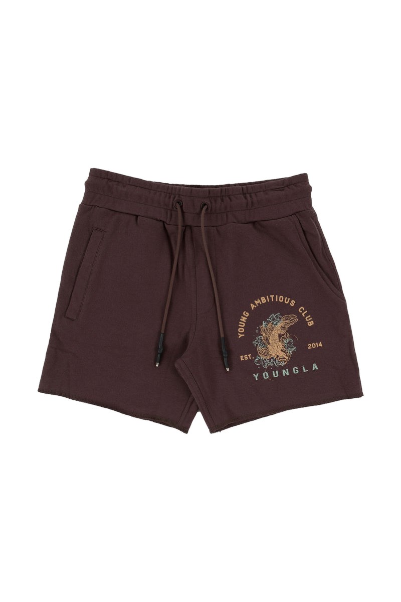 YoungLA 111 Dedication Kurzes Shorts Braun | 68345-UWOG