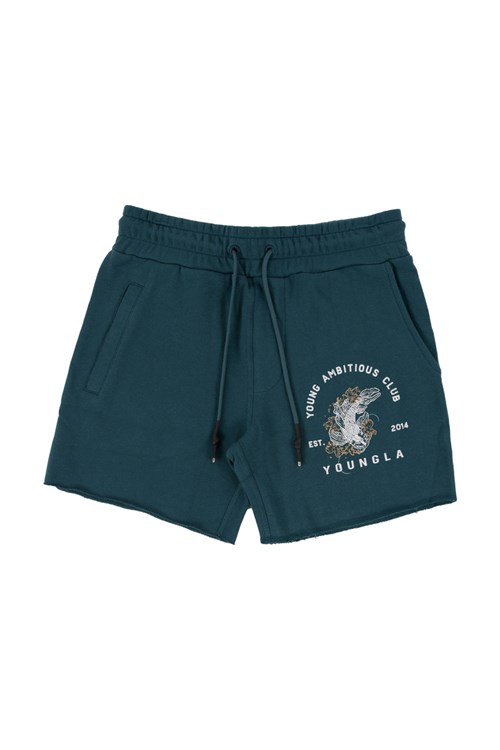 YoungLA 111 Dedication Kurzes Shorts Teal | 73156-OFTN